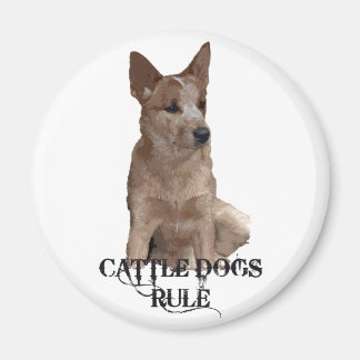 Cattle Dogs Rule Magnet