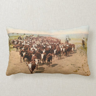 Cattle Drive Lumbar Cushion