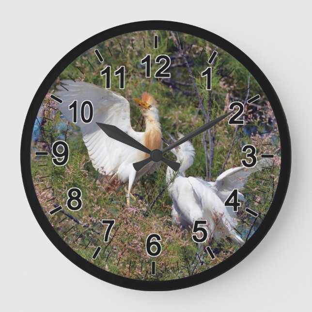 Cattle egret and little egret in tree large clock (Front)