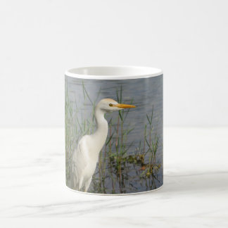 Cattle Egret Bird Photography Mug – Elegant White 