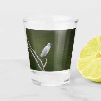 Cattle Egret Glass
