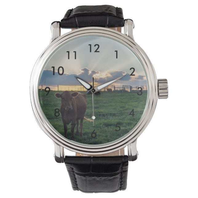 Cattle Farm Sunset Watch (Front)