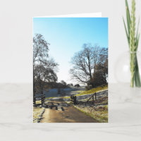 Cattle grid in winter