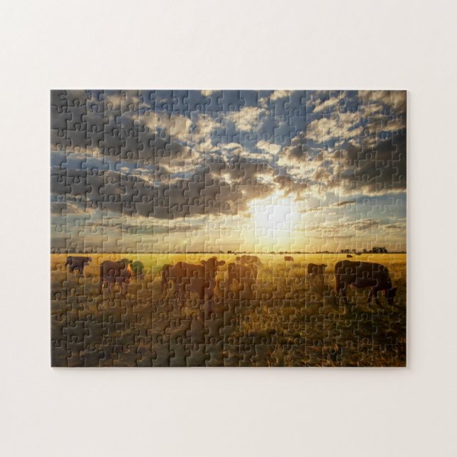 Cattle In Field, Sunset Jigsaw Puzzle (Horizontal)