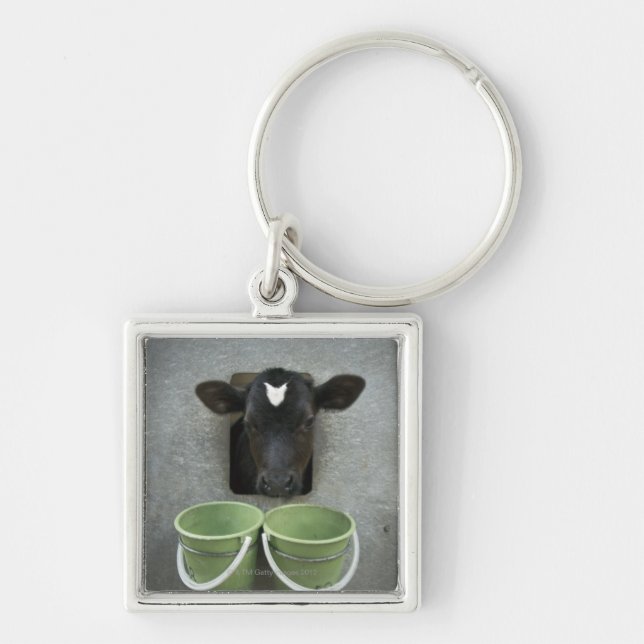Cattle, Individual Pen Key Ring (Front)