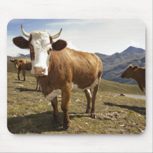 Cattle Mouse Pad