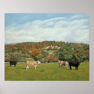 Cattle Near Pentyrch Poster