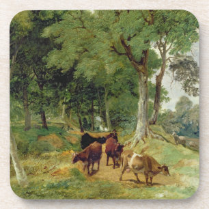 Cattle on a Devonshire Lane Coaster