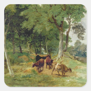 Cattle on a Devonshire Lane Square Sticker