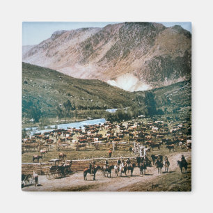 Cattle Ranch, Colorado, 1899 (photo) Magnet