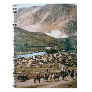 Cattle Ranch, Colorado, 1899 (photo) Spiral Notebook