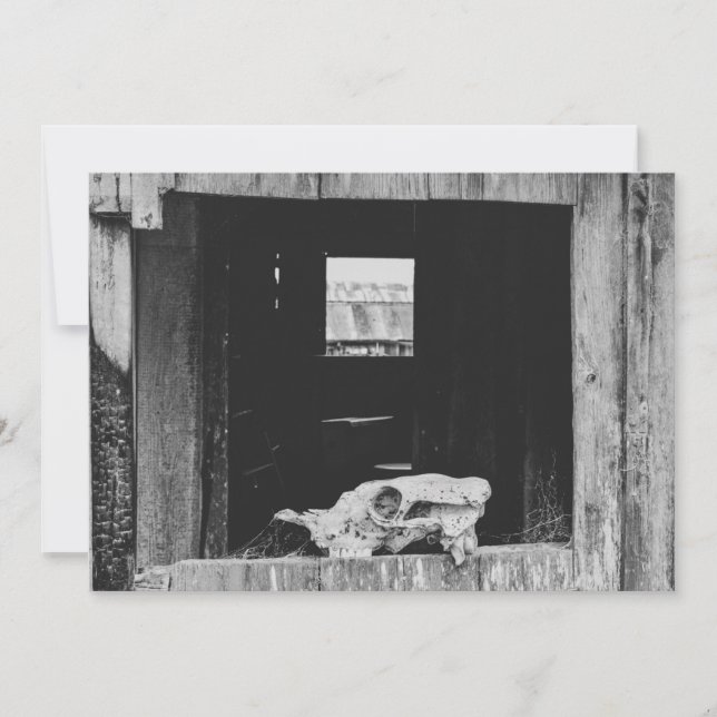 Cattle ranch  holiday card (Front)