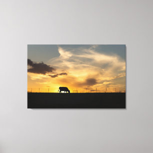 Cattle Sunset Silhouette Canvas Print