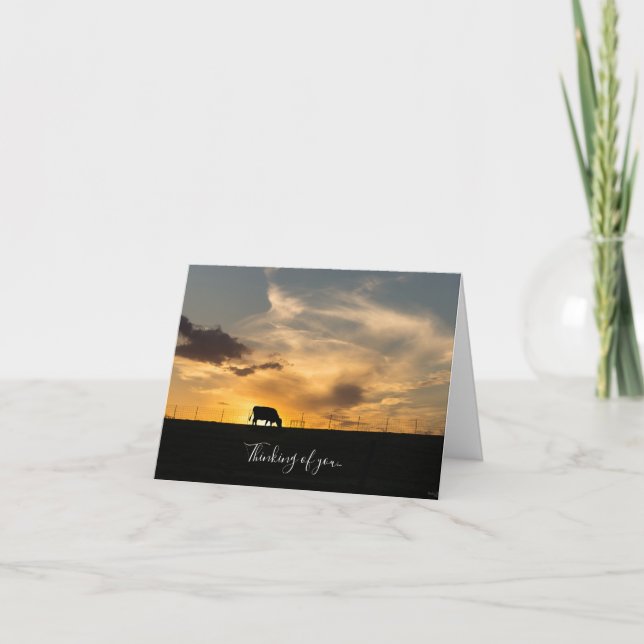 Cattle Sunset Silhouette Thinking Of You Card (Front)