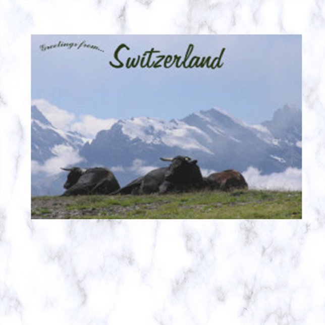 Cattle Swiss Alps Switzerland Postcard (Creator Uploaded)