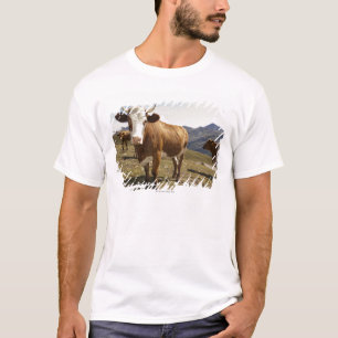 Cattle T-Shirt