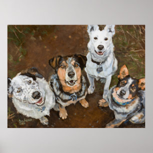 Cattledogs Cattle Dogs and Heelers Brown Hued Poster
