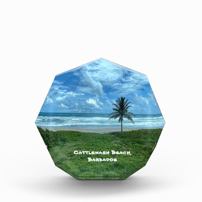 Cattlewash Beach, Barbados Photo Block (Front)