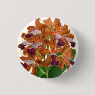 Cattleya Guttata Leopoldii Vintage Lindenia Orchid 3 Cm Round Badge