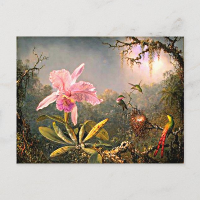 Cattleya Orchid and Three Hummingbirds Postcard (Front)