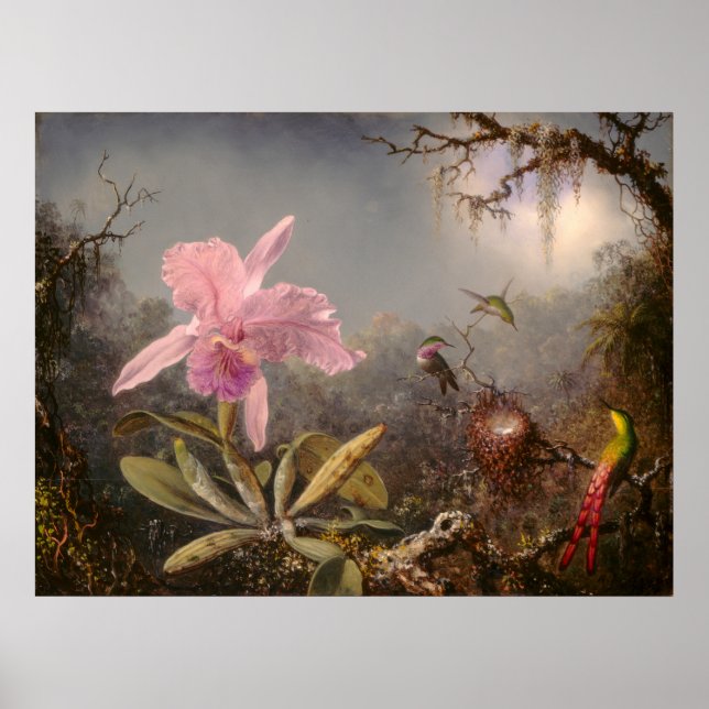 Cattleya Orchid and Three Hummingbirds Poster (Front)