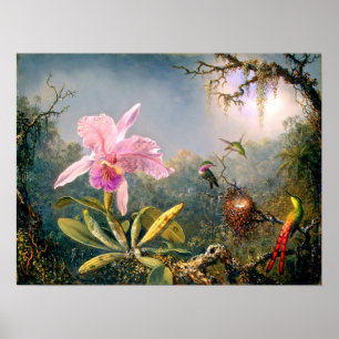 Cattleya Orchid and Three Hummingbirds Poster