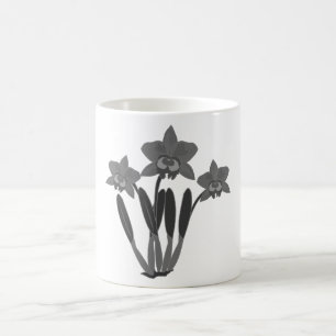Cattleya Orchid Coffee Mug