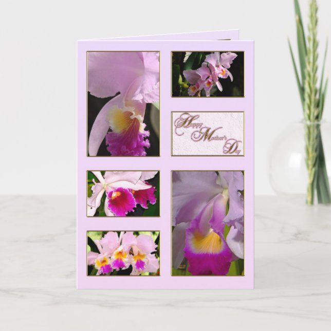 Cattleya Orchid Mother's Day Greeting Card (Front)