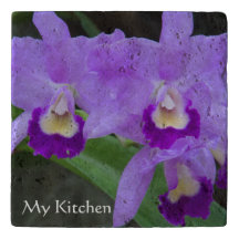 Cattleya Orchid Purple Flowers