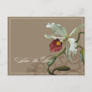 Cattleya Orchid Taupe - Save the Date Postcard