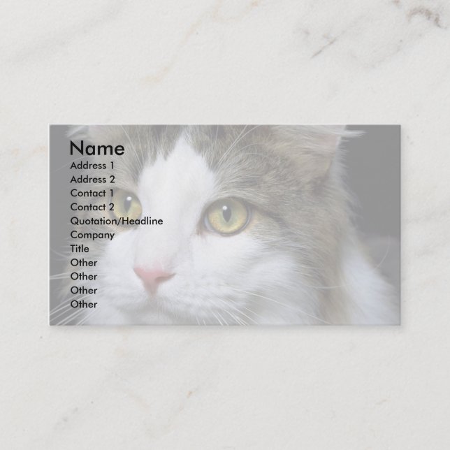 Catty Business Card (Front)