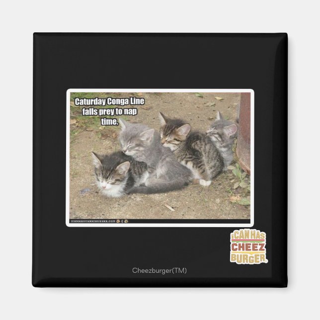 Caturday Conga Line Magnet (Front)