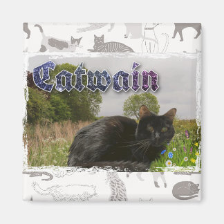 Catwain  magnet
