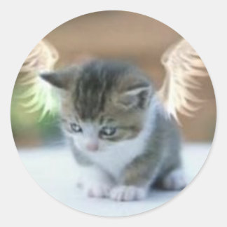 Catwing Sticker