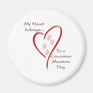 Caucasian Mountain Dog Heart Belongs Magnet