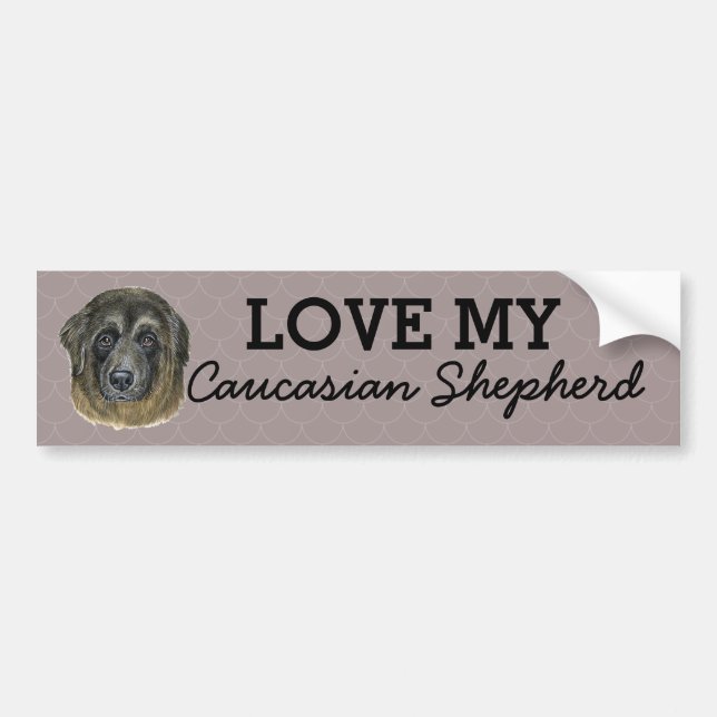 Caucasian Shepherd Bumper Sticker (Front)