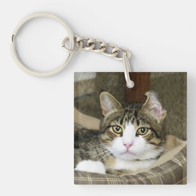 Caught Key Ring (Front)