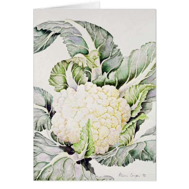 Cauliflower Study 1993 (Front)