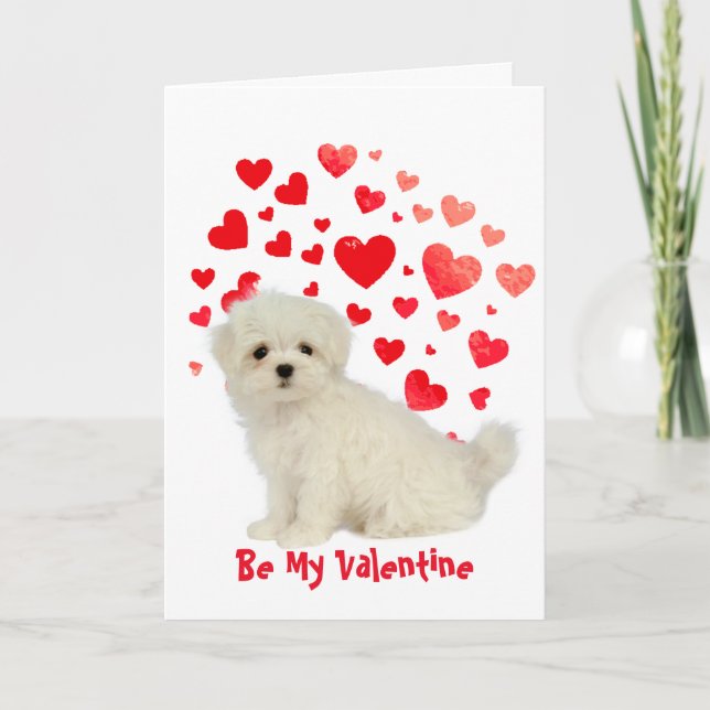 Cause I Woof Love You Maltese Dog Valentine Holiday Card (Front)