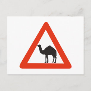 Caution Camels, Traffic Sign, United Arab Emirate Postcard
