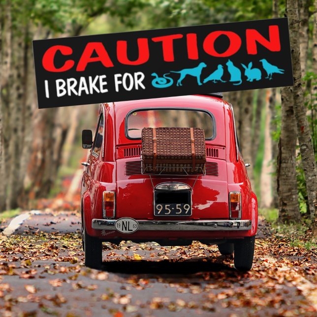 Caution, I Brake For (Animals), Car Decal (Creator Uploaded)