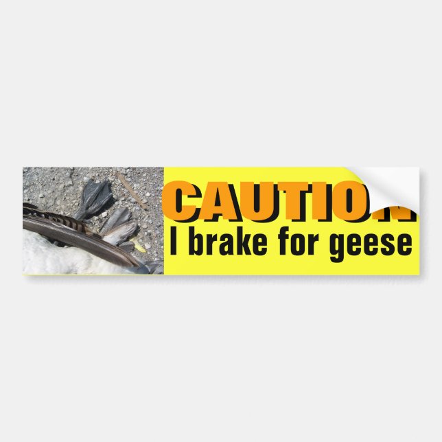 CAUTION: I BRAKE FOR GEESE bumper sticker (Front)