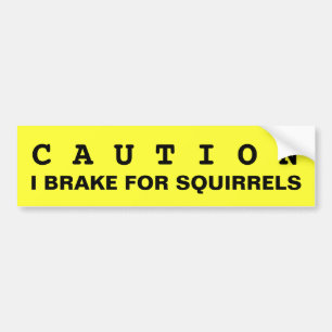 CAUTION: I BRAKE FOR SQUIRRELS BUMPER STICKER