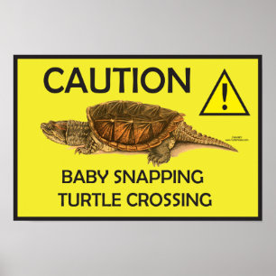 Caution Snapping Turtle Crossing Poster