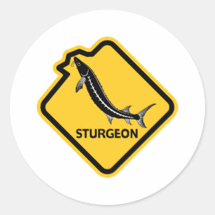 Caution Sturgeon Leaping Classic Round Sticker
