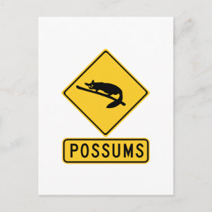 Caution With Possums 2, Traffic Warning Sign, AU Postcard