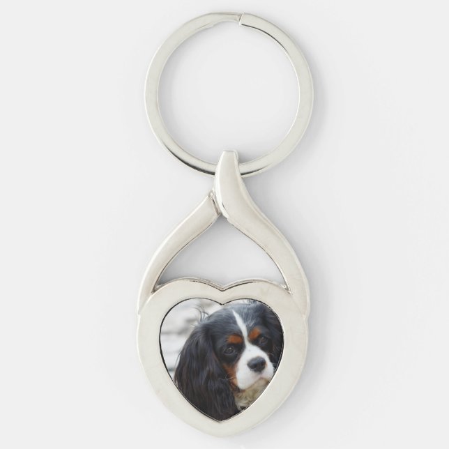 cav 2 key ring (Front)