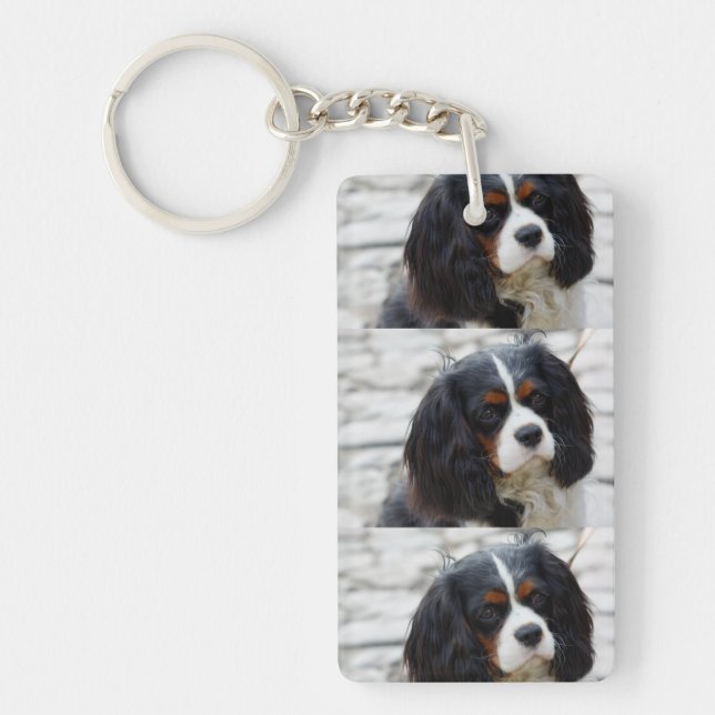 cav 2 key ring (Front)