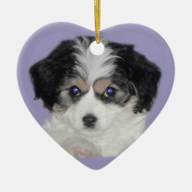 Cavachon Love Ceramic Ornament (Front)
