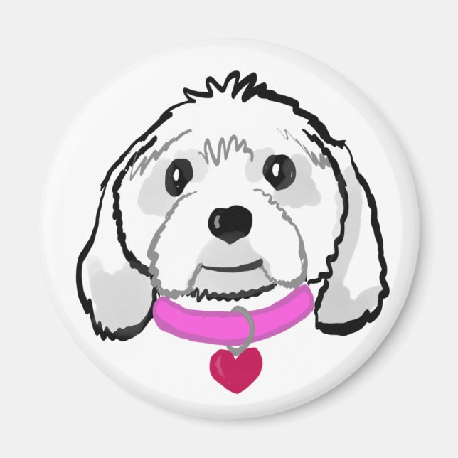 Cavachon Magnet (Front)